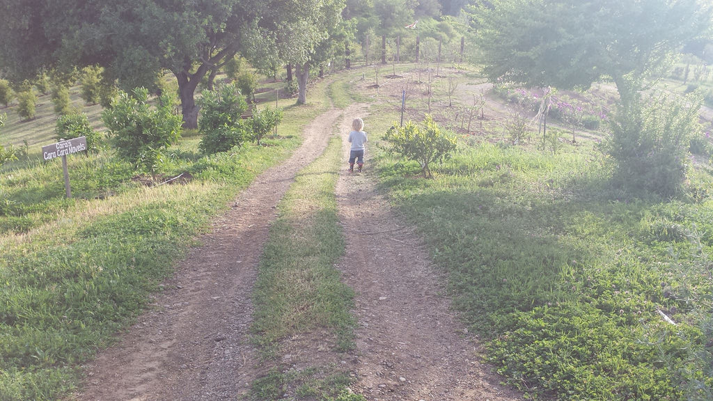 70 years in Northern California